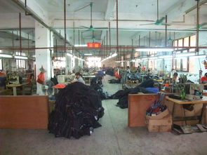 廣州市增城鼎潤(rùn)制衣廠 專注精品女裝，匠心織就時(shí)尚